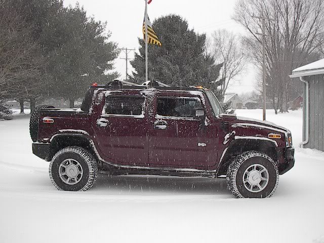 Name:  Hummer021307004.jpg
Views: 123
Size:  86.1 KB