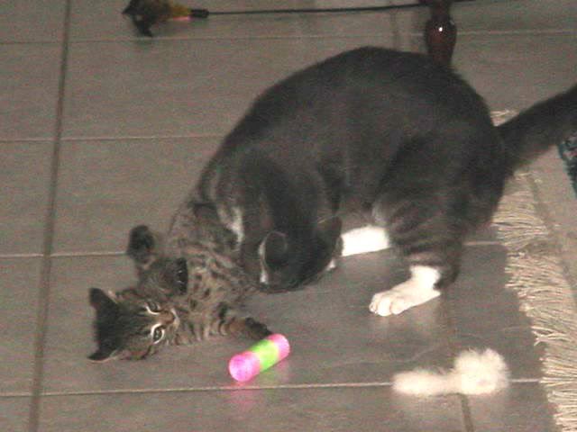 Name:  MVC-004S.jpg
Views: 46
Size:  34.7 KB