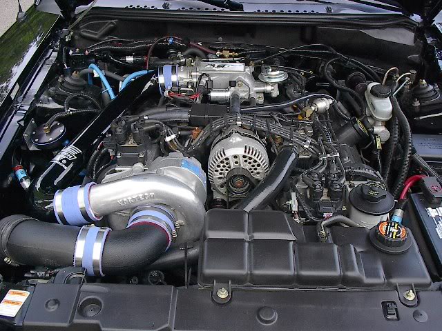 Name:  SaleenS281039.jpg
Views: 35
Size:  94.4 KB