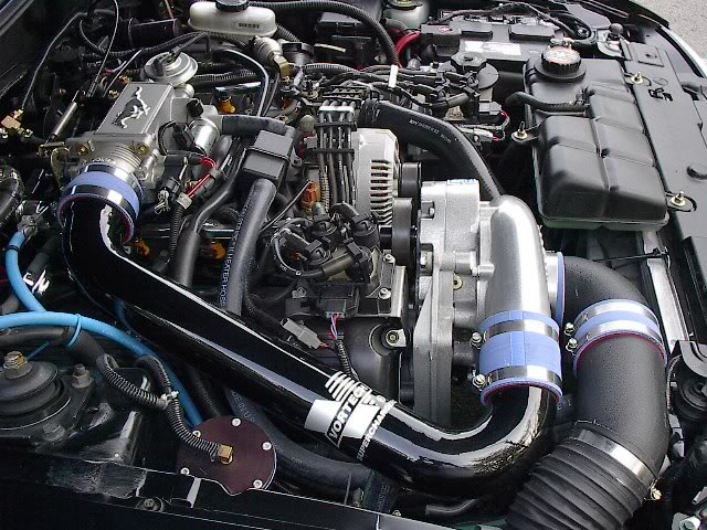Name:  SaleenS281040.jpg
Views: 37
Size:  100.4 KB