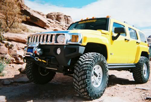 Name:  yellowH3_1.jpg
Views: 2026
Size:  39.0 KB