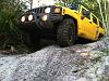 Old Yeller havin some fun-crawlin.jpg