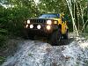 Old Yeller havin some fun-crawlin2.jpg