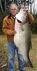 test-bass.jpg