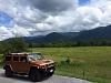Smoky mountain  got orange-fb_img_1440247300930.jpg