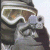 easy610's Avatar
